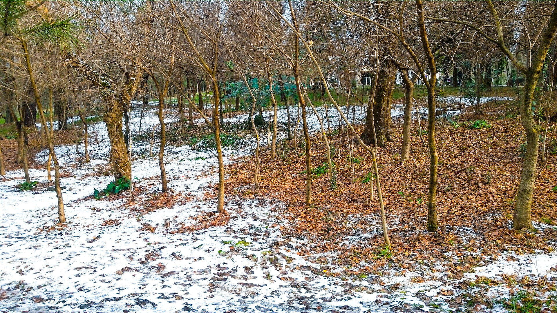 Tirana met kinderen: de leukste stedentrip